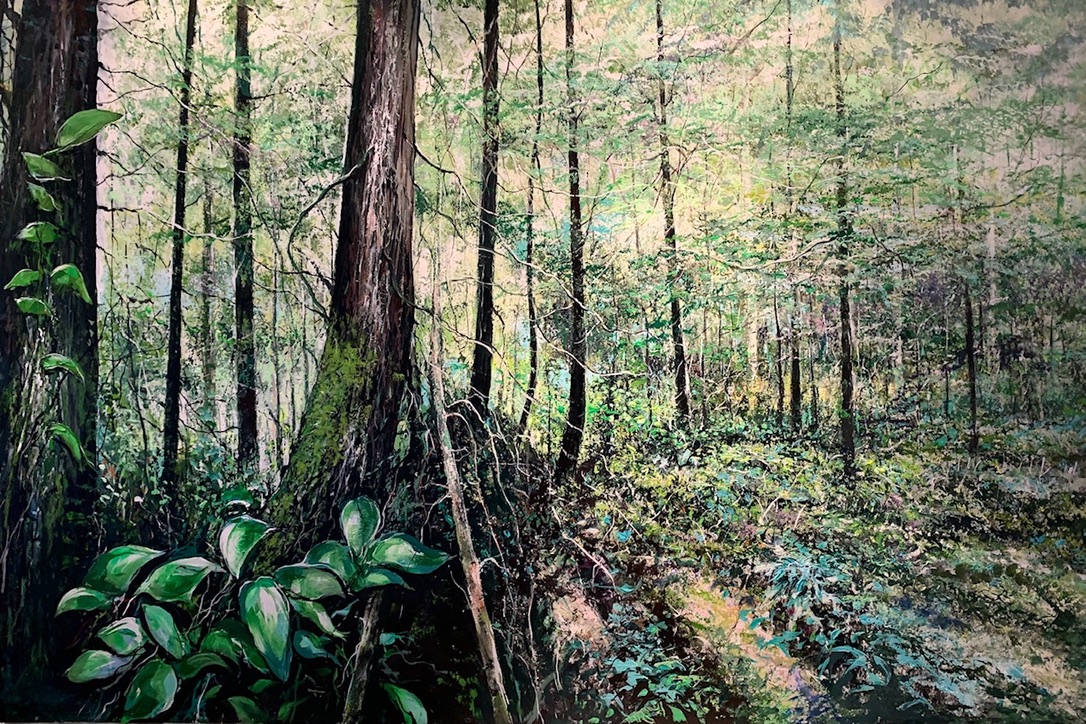Image accompanying Rainforest of Canada